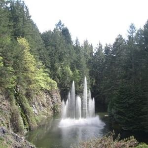 Meet your Posher, Carole